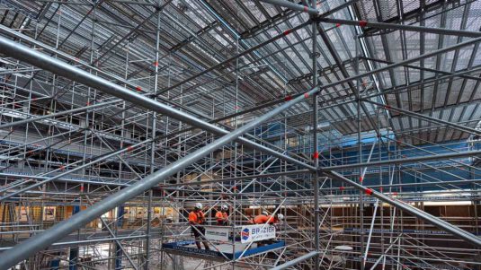 otago university birdcage scaffold